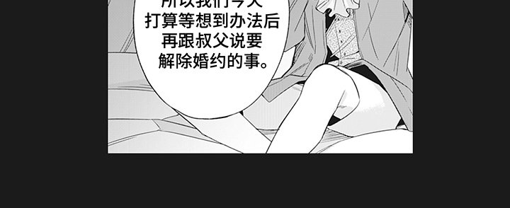 第20章：解释