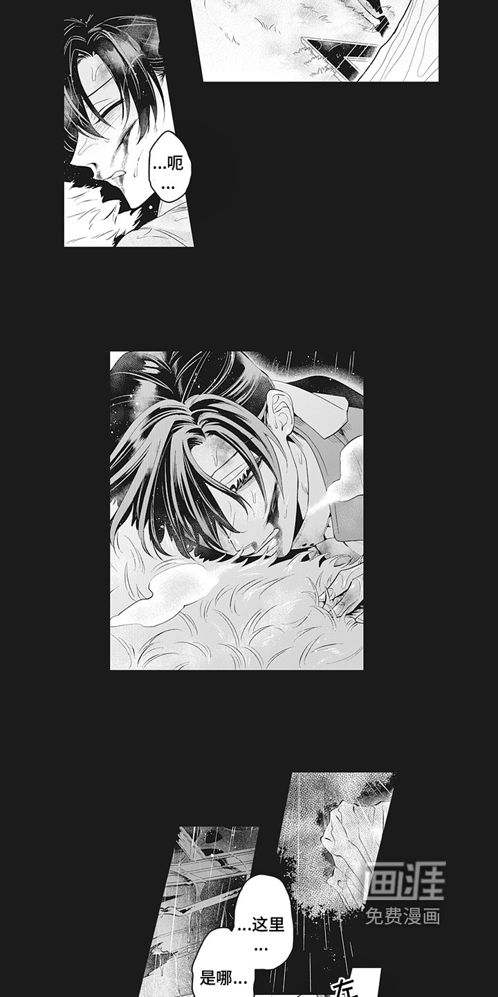 第21章：遇袭