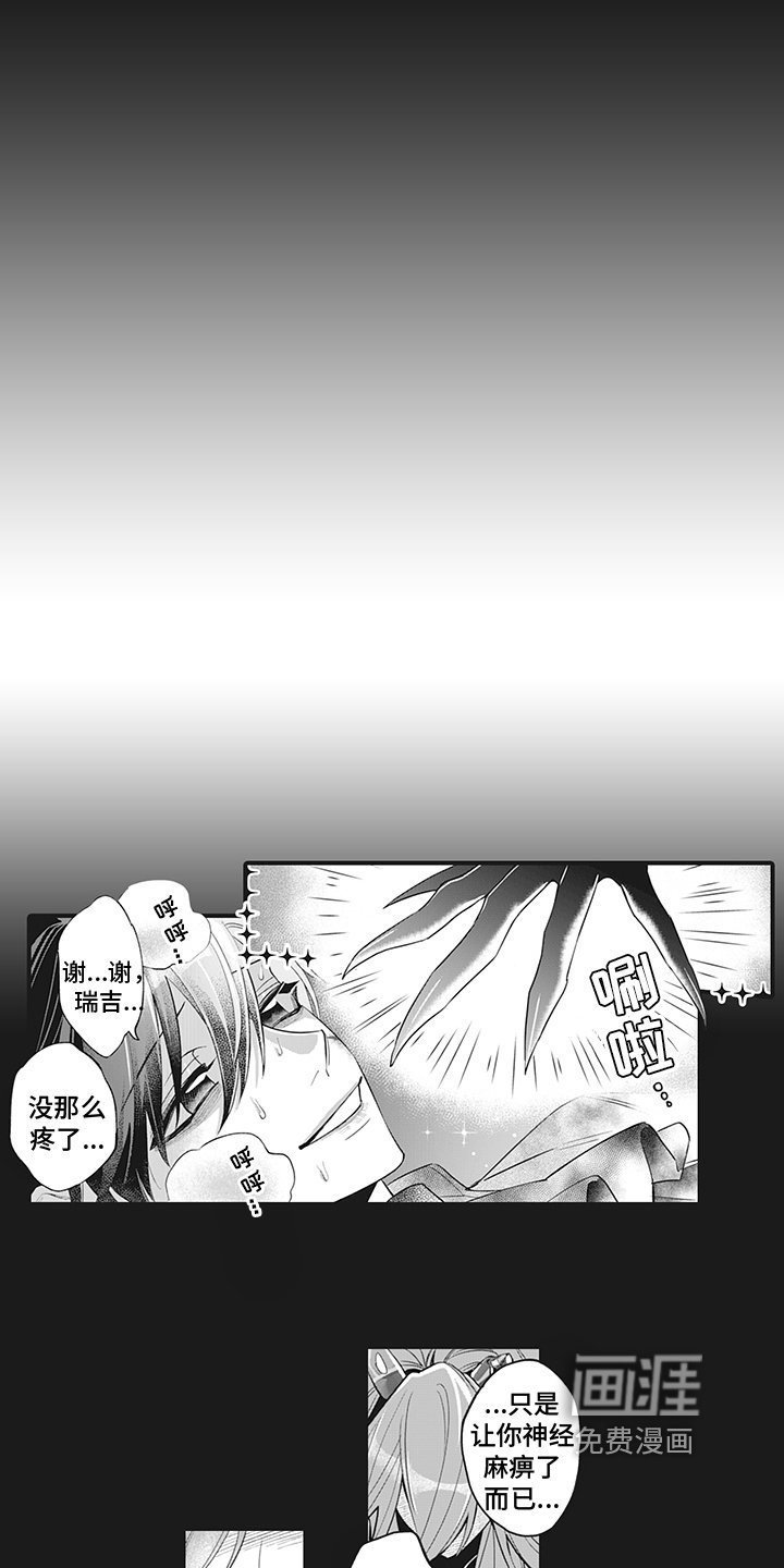 第23章：分离
