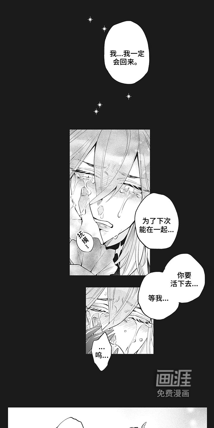 第23章：分离