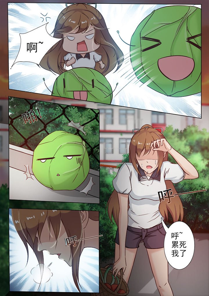 第6章：