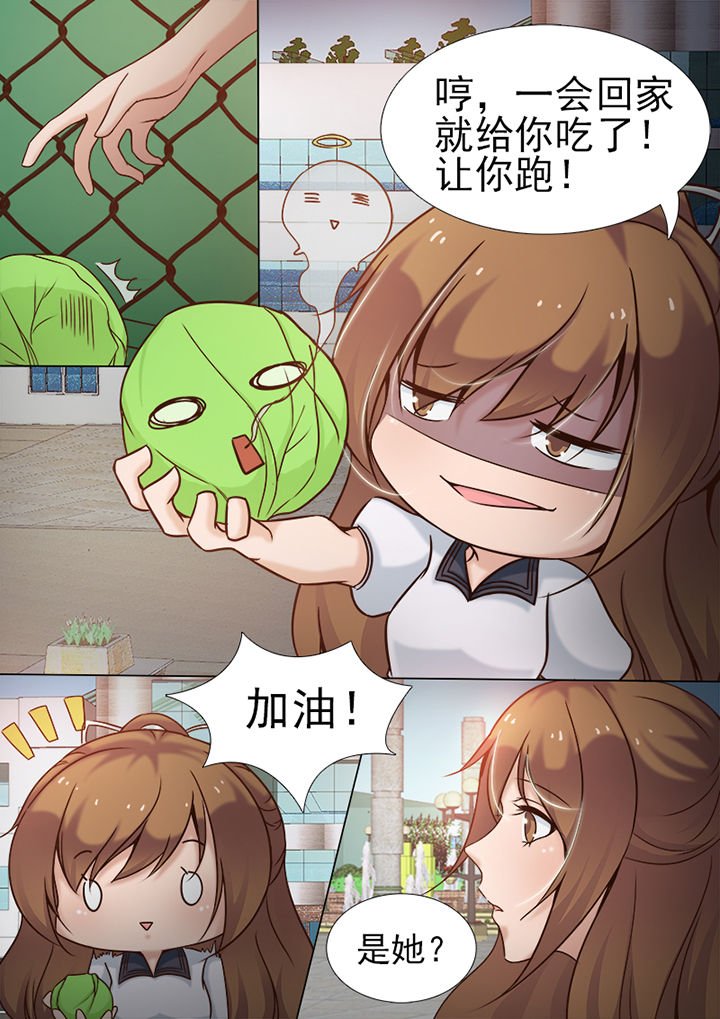 第6章：