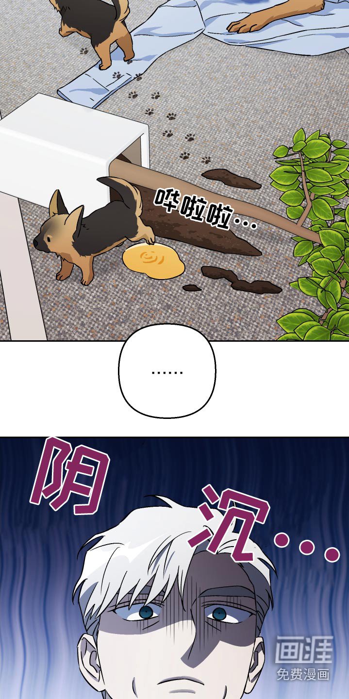 第100章：【第二季】做饭