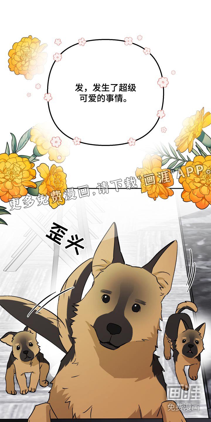 第102章：【第二季】什么关系