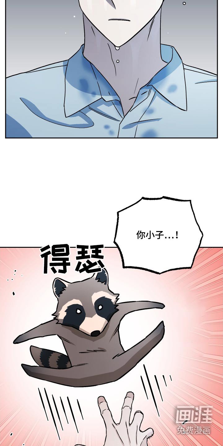 第108章：【第二季】海狸