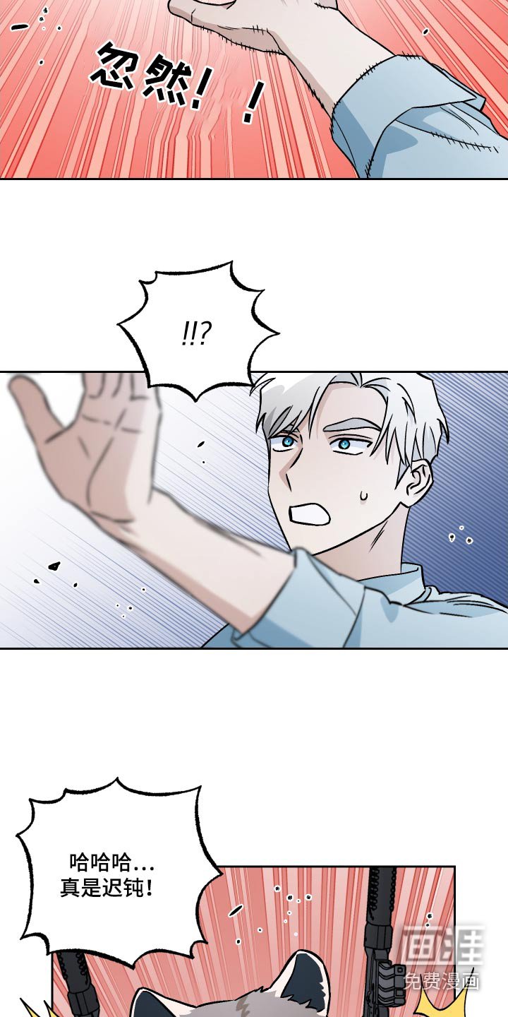 第108章：【第二季】海狸