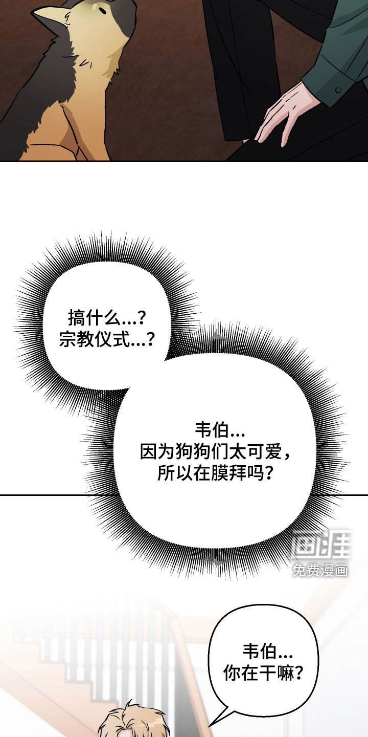 第148章：【第三季】动物疗法