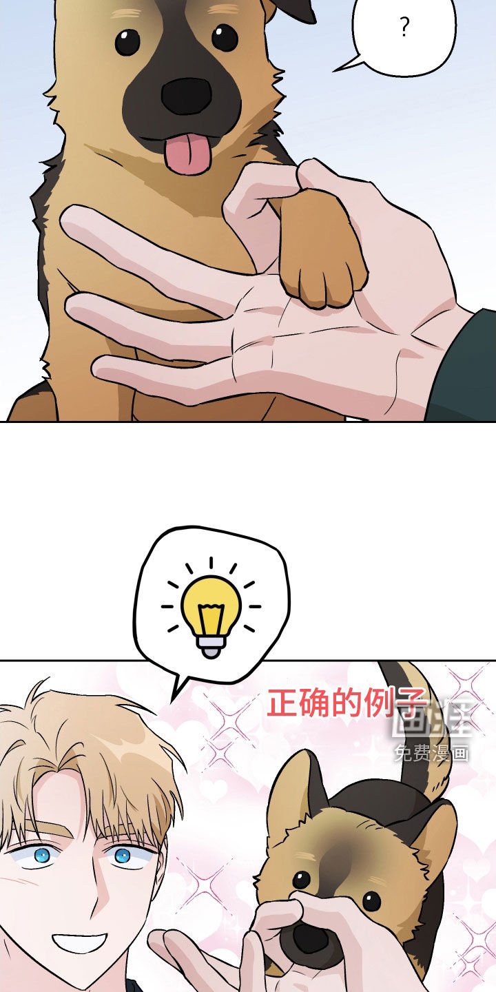 第148章：【第三季】动物疗法