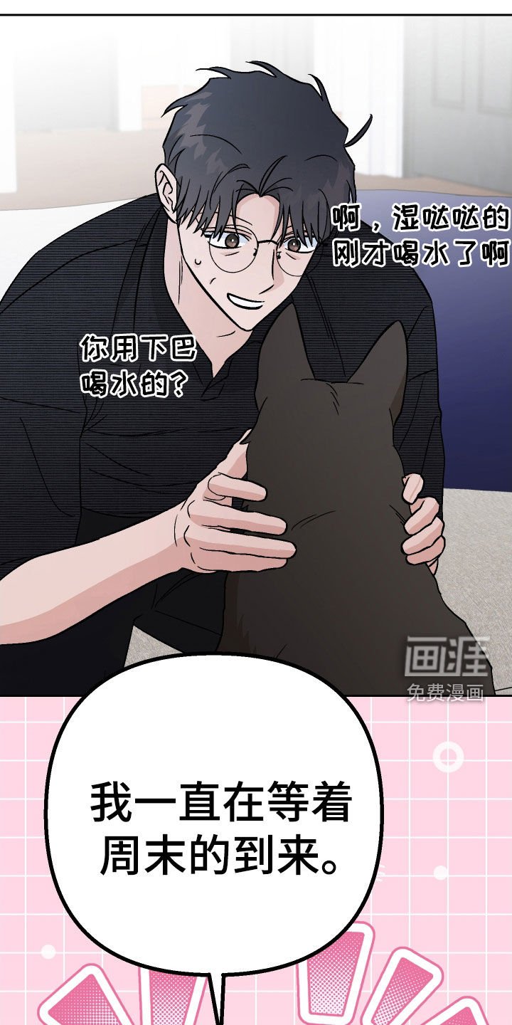 第164章：【第三季】周末