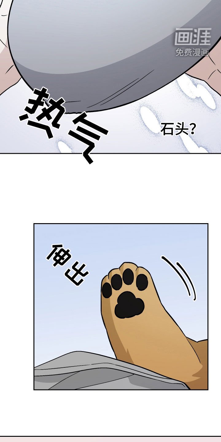 第176章：【第三季】养狗