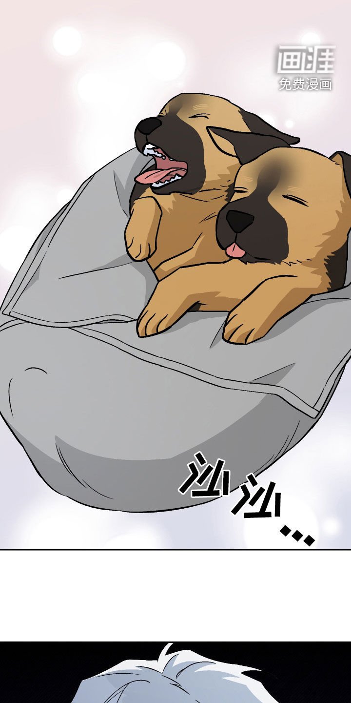 第176章：【第三季】养狗
