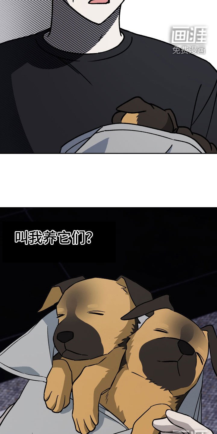 第176章：【第三季】养狗
