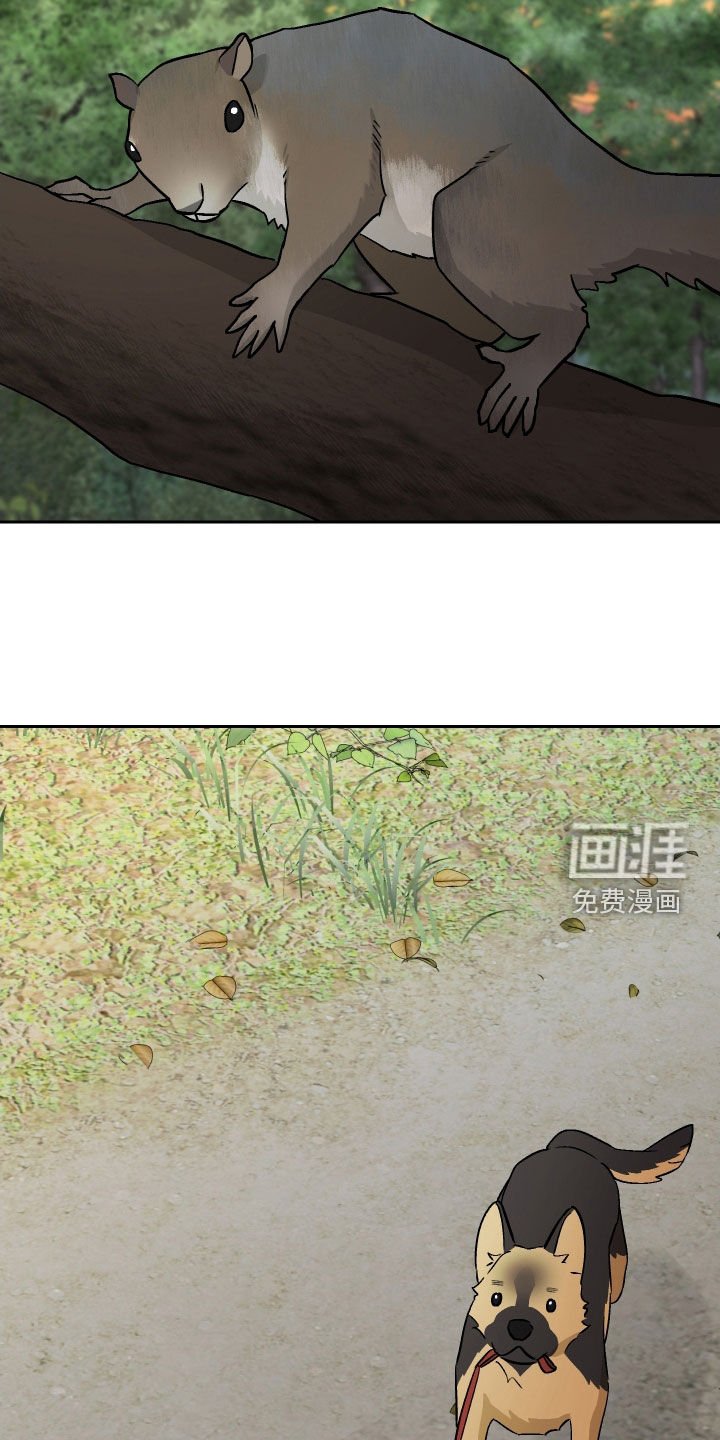 第178章：【第三季】掉坑里