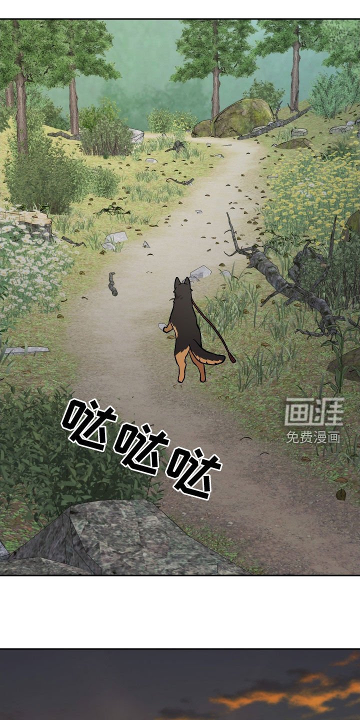 第178章：【第三季】掉坑里