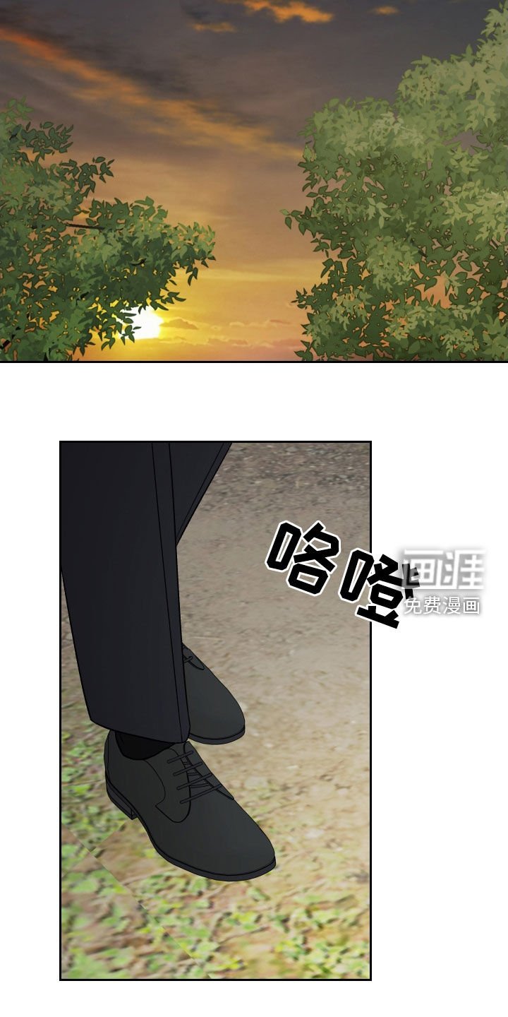 第178章：【第三季】掉坑里