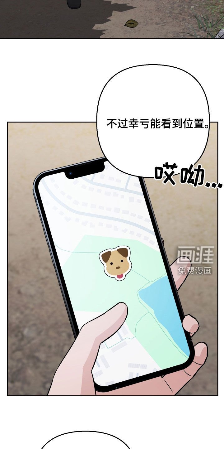 第178章：【第三季】掉坑里