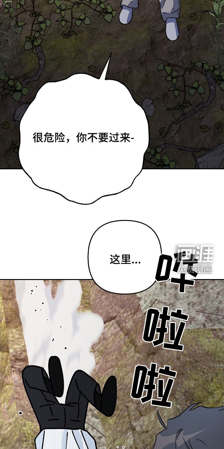 第178章：【第三季】掉坑里
