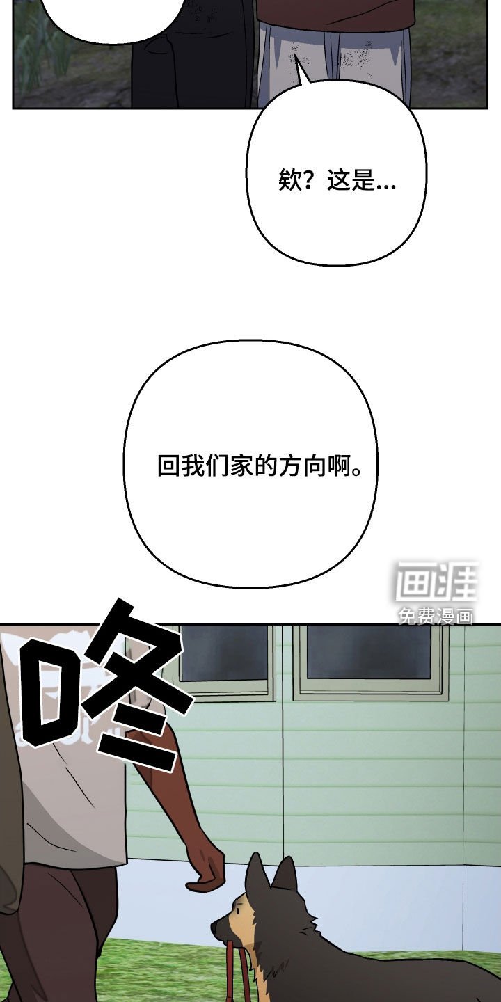 第178章：【第三季】掉坑里