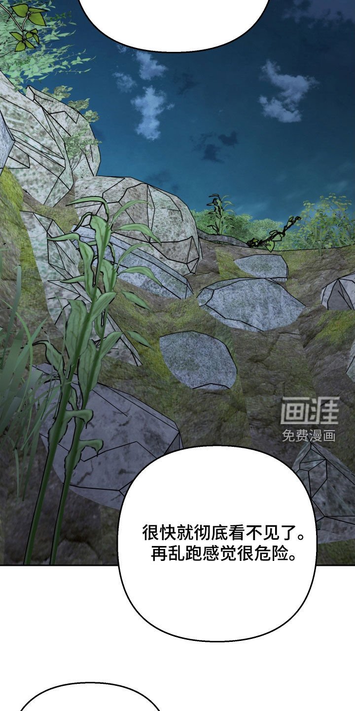 第178章：【第三季】掉坑里