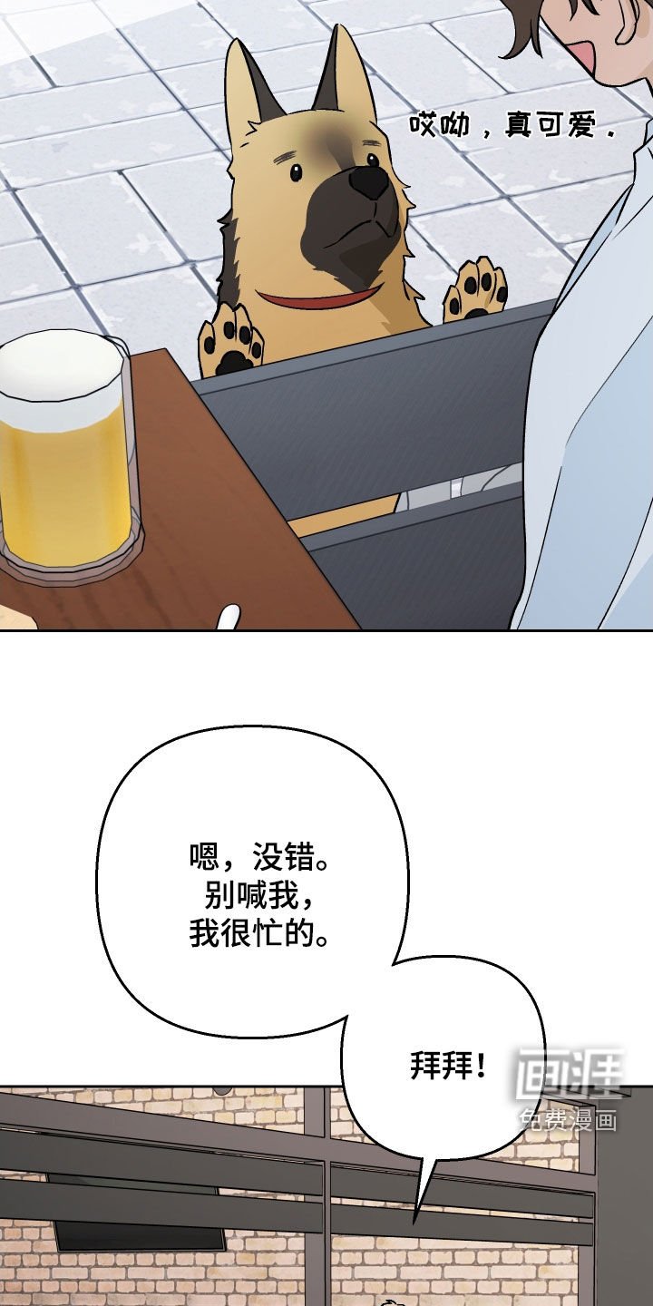 第179章：【第三季完结】幸福