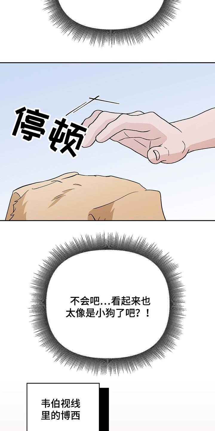 第33章：药物