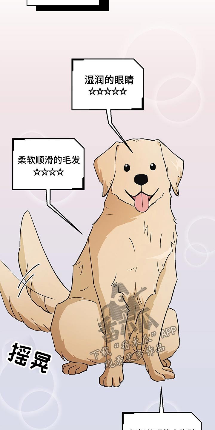 第33章：药物