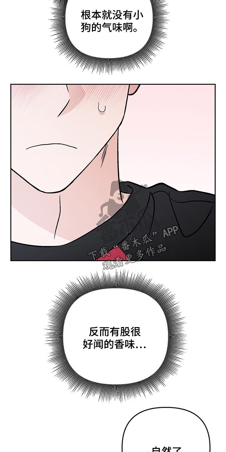 第33章：药物