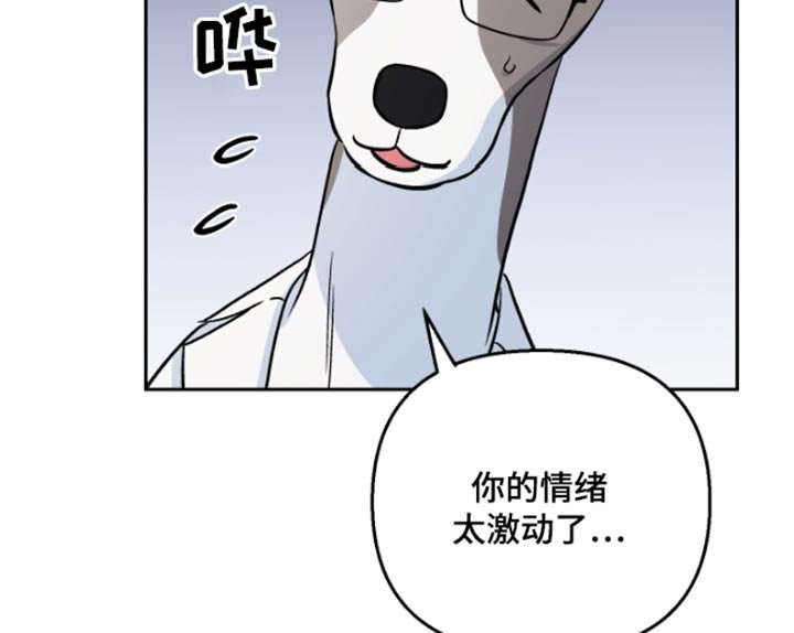 第38章：药物