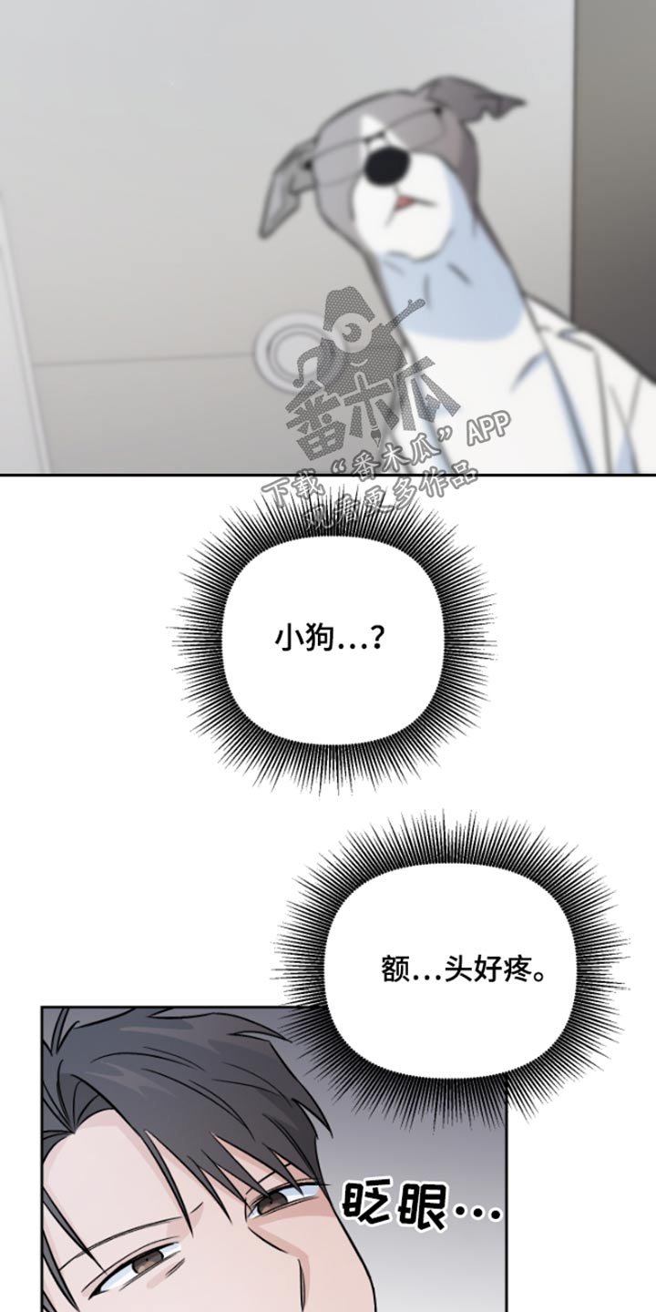 第39章：记忆