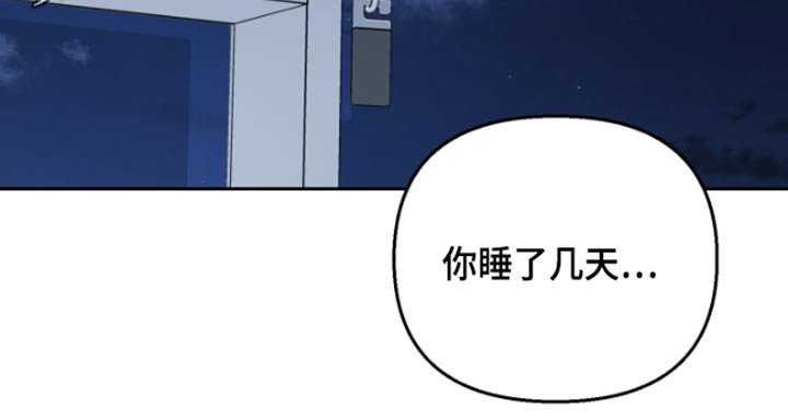 第39章：记忆