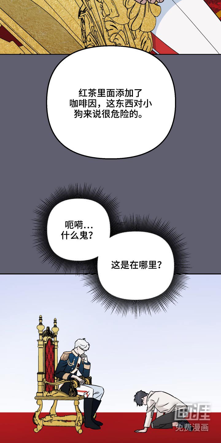 第52章：【第二季】果然