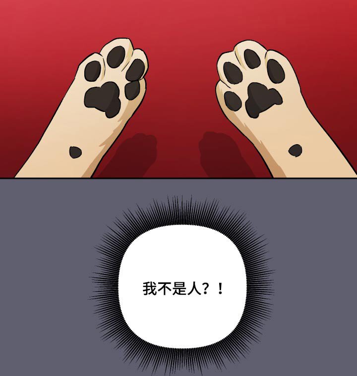 第52章：【第二季】果然