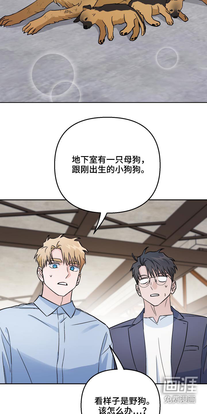 第59章：【第二季】收养