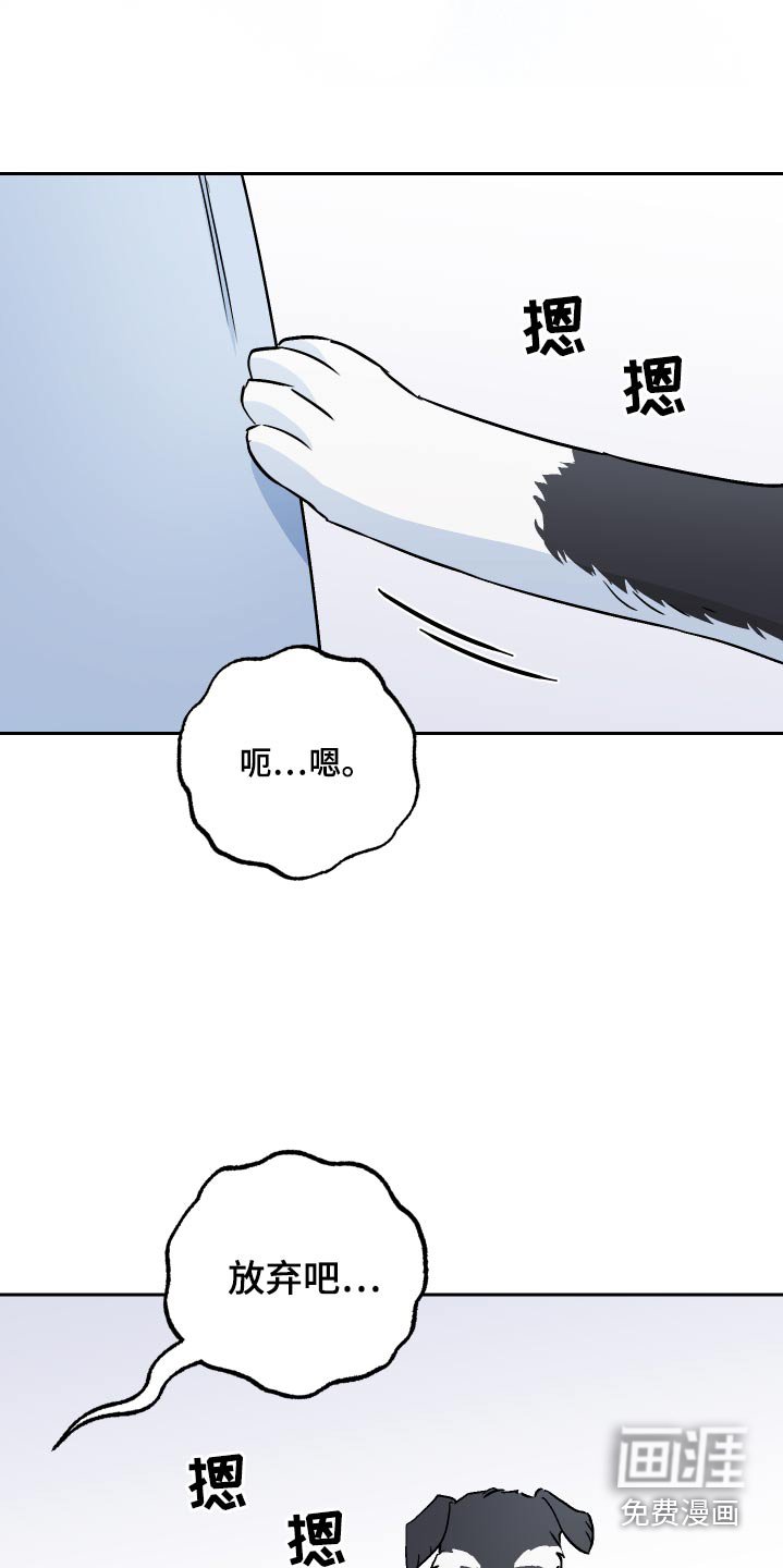 第63章：【第二季】保密