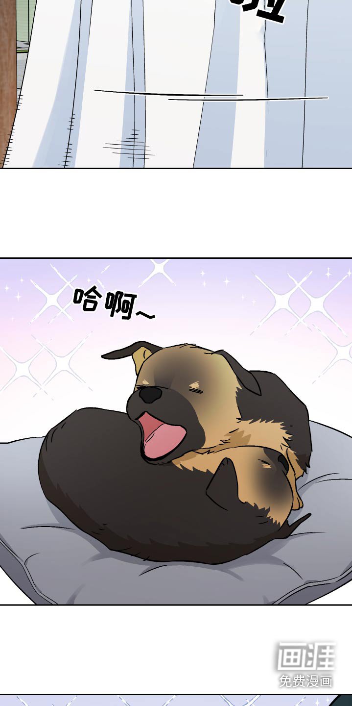 第66章：【第二季】散步