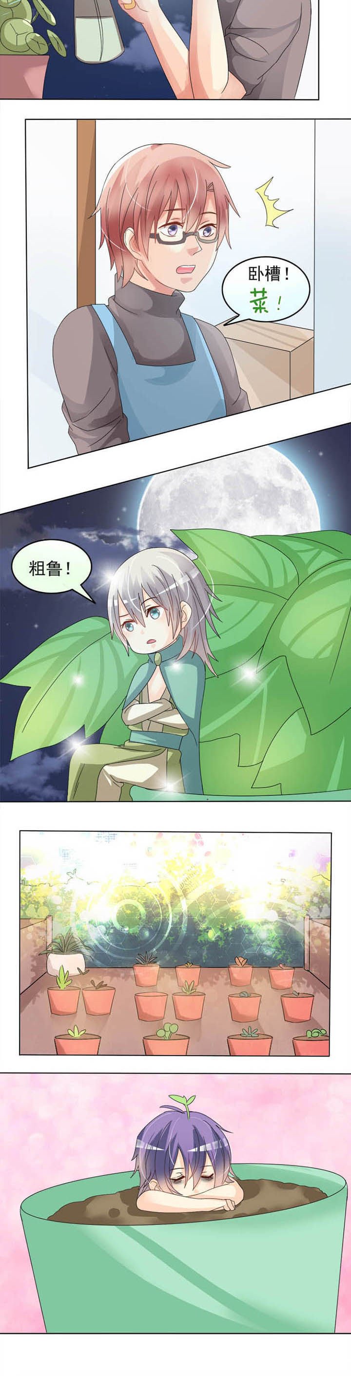 第16章：植物神灵
