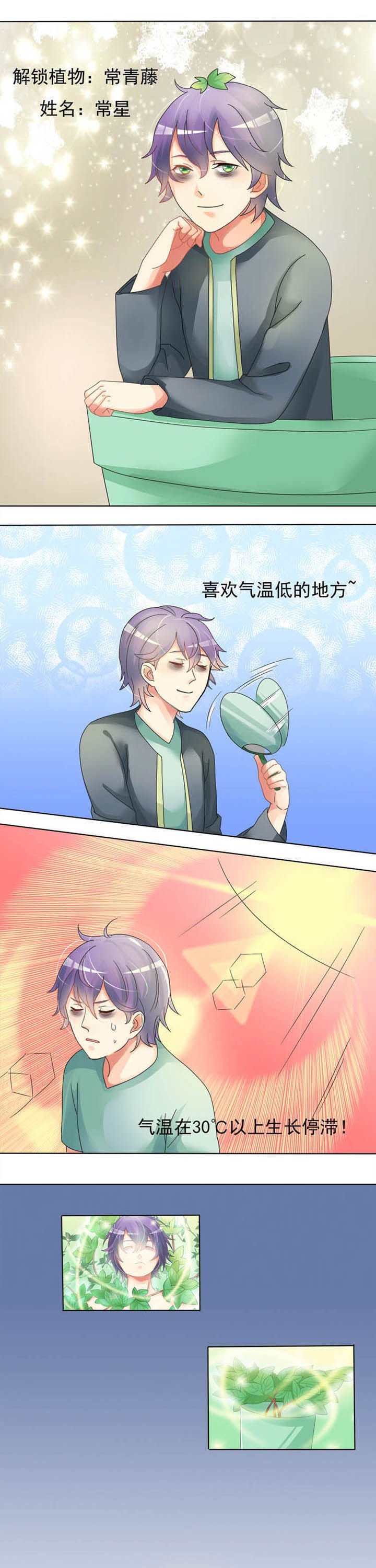 第17章：爱心便当