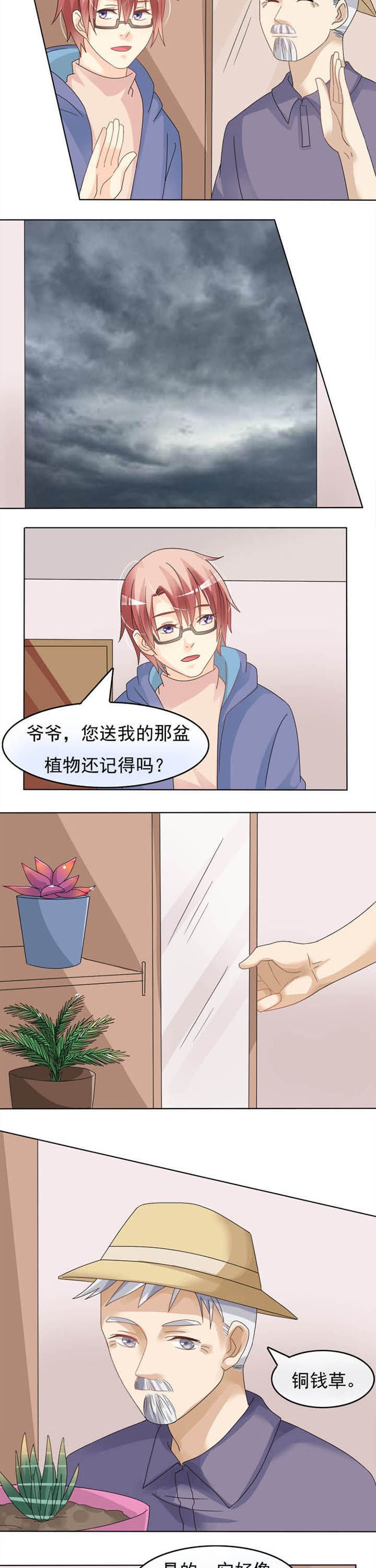 第19章：植灵师