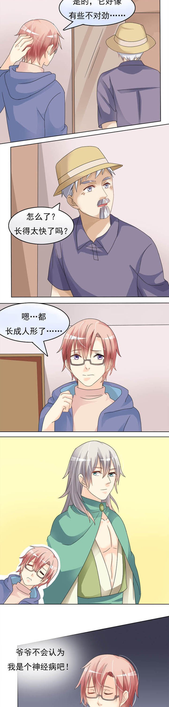 第19章：植灵师