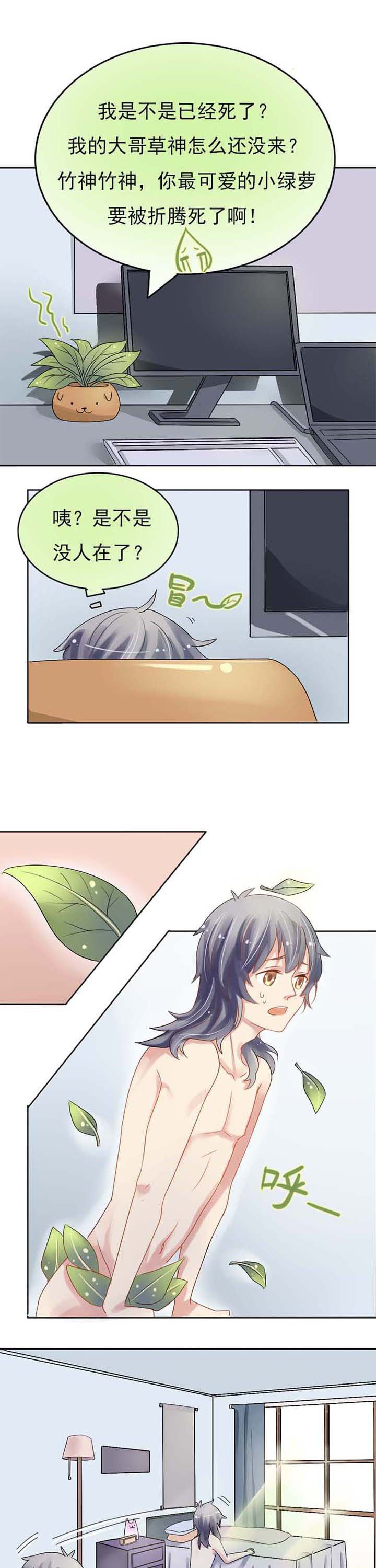 第3章：草神救我！