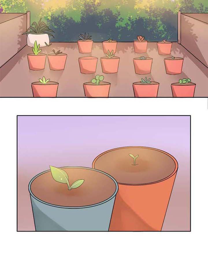 第3章：草神救我！