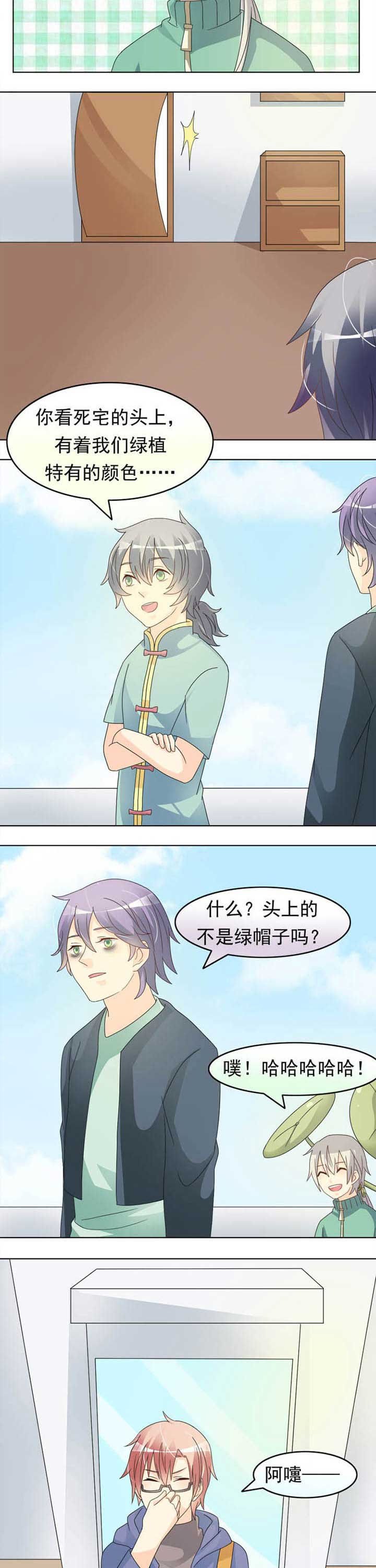 第35章：草神出关