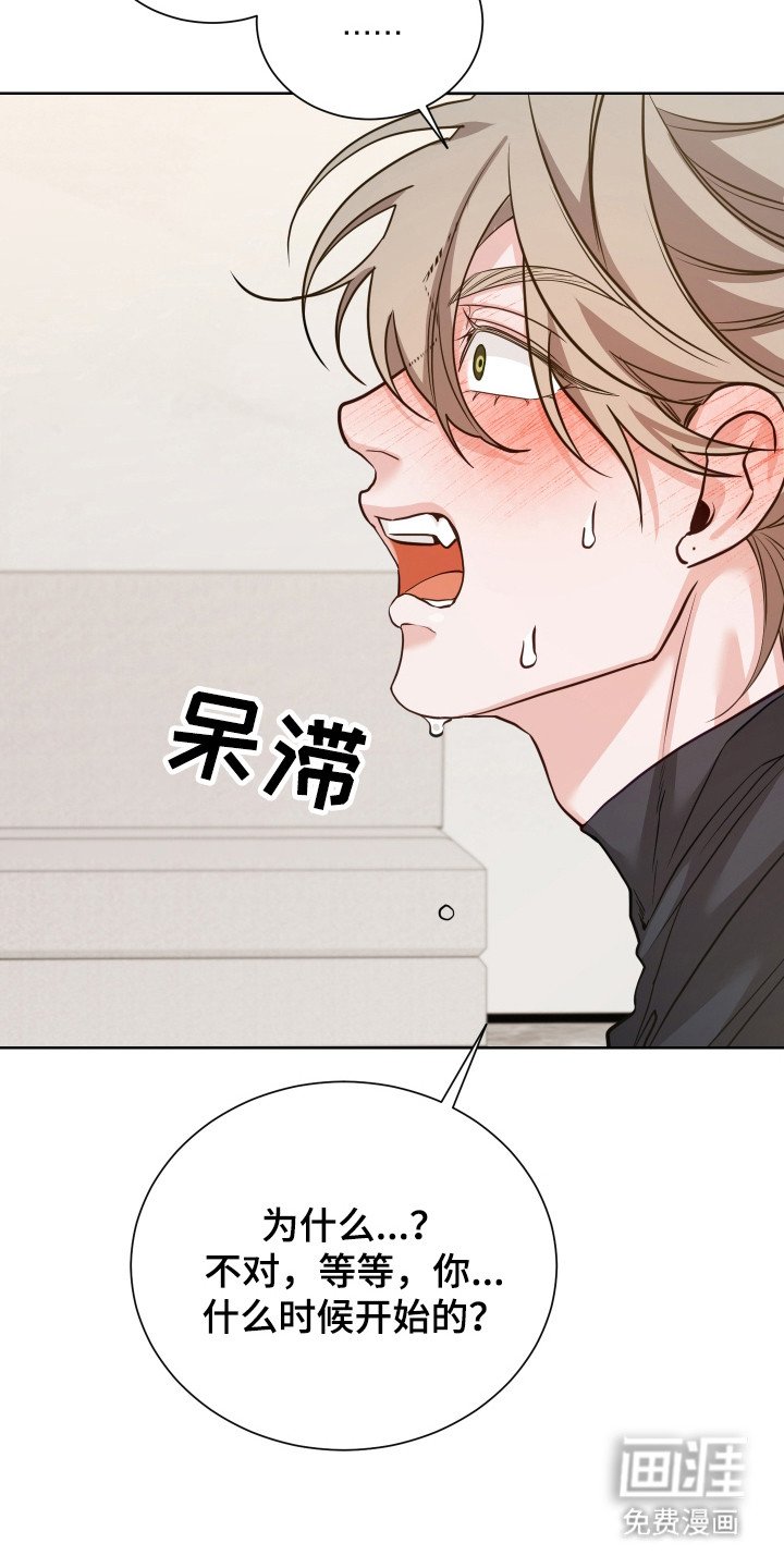 第14章：初印象