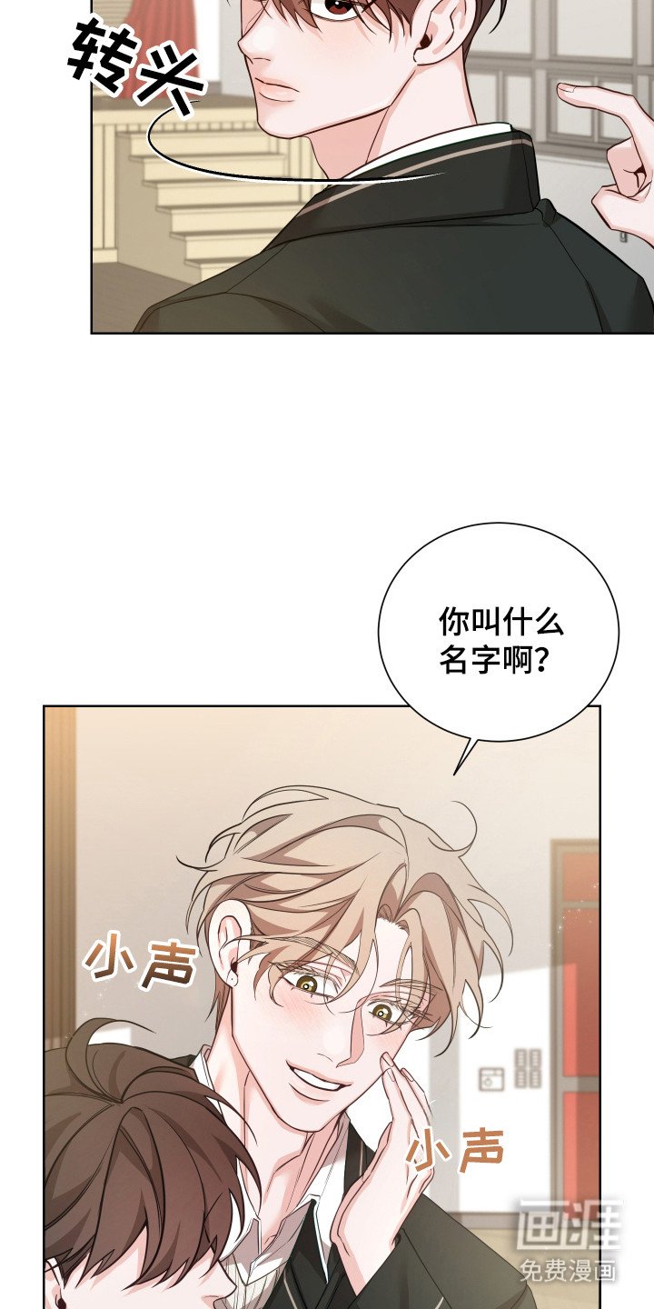 第14章：初印象
