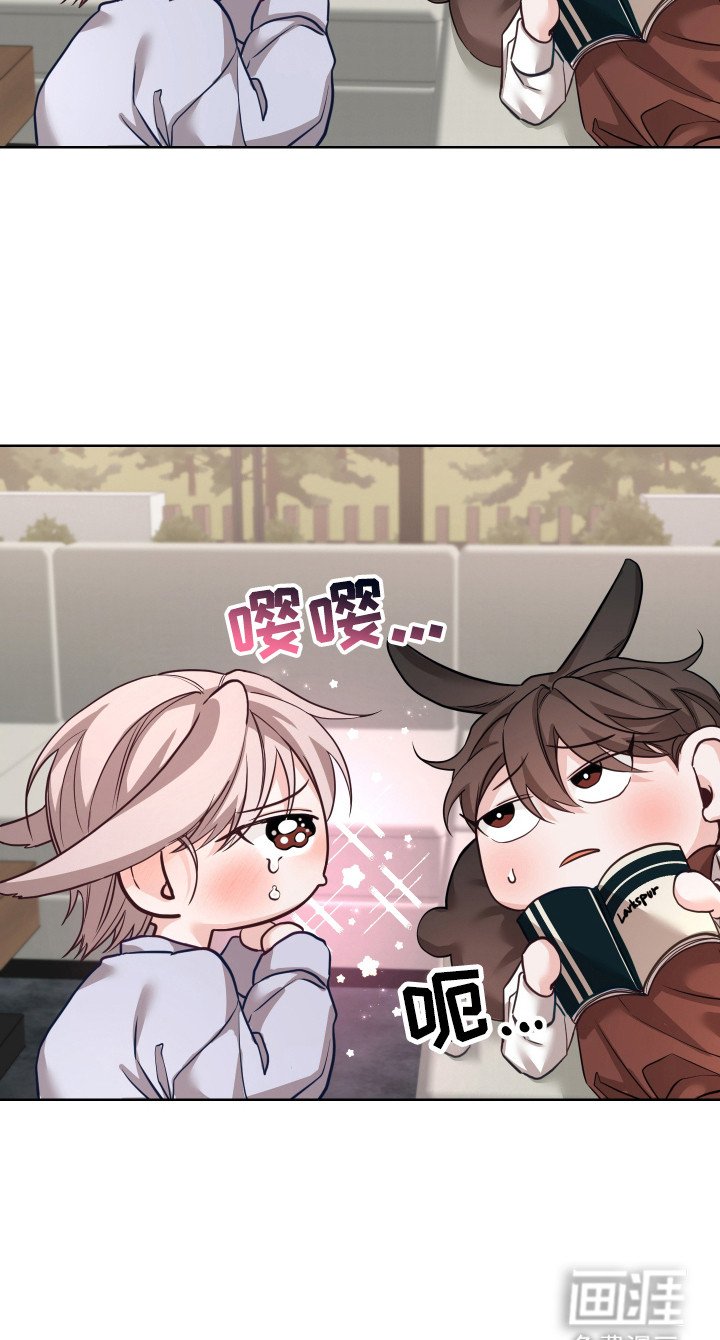 第14章：初印象