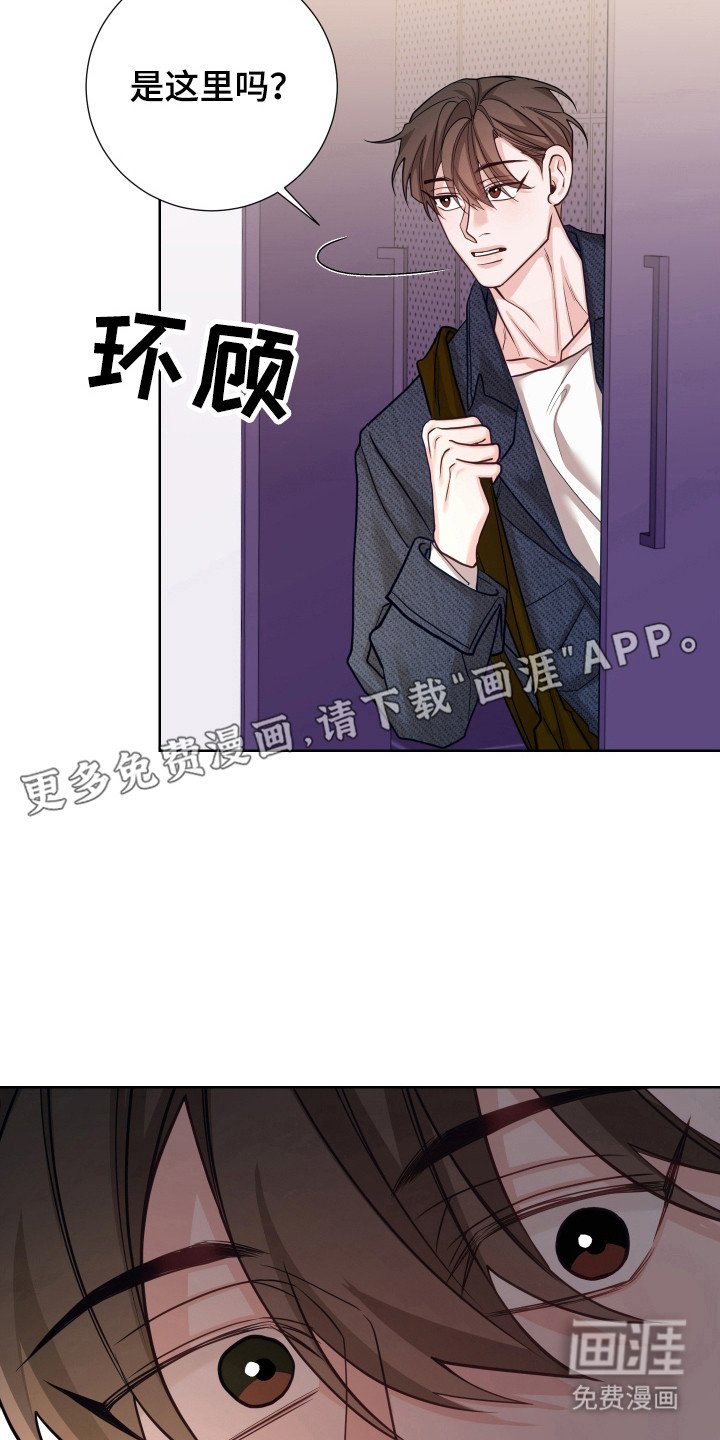 第19章：走上正轨