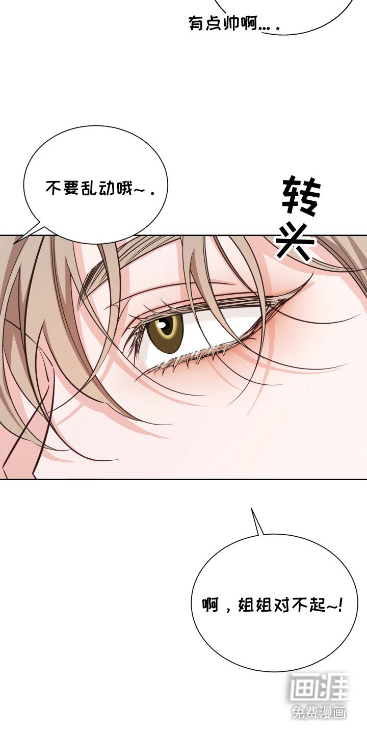 第19章：走上正轨