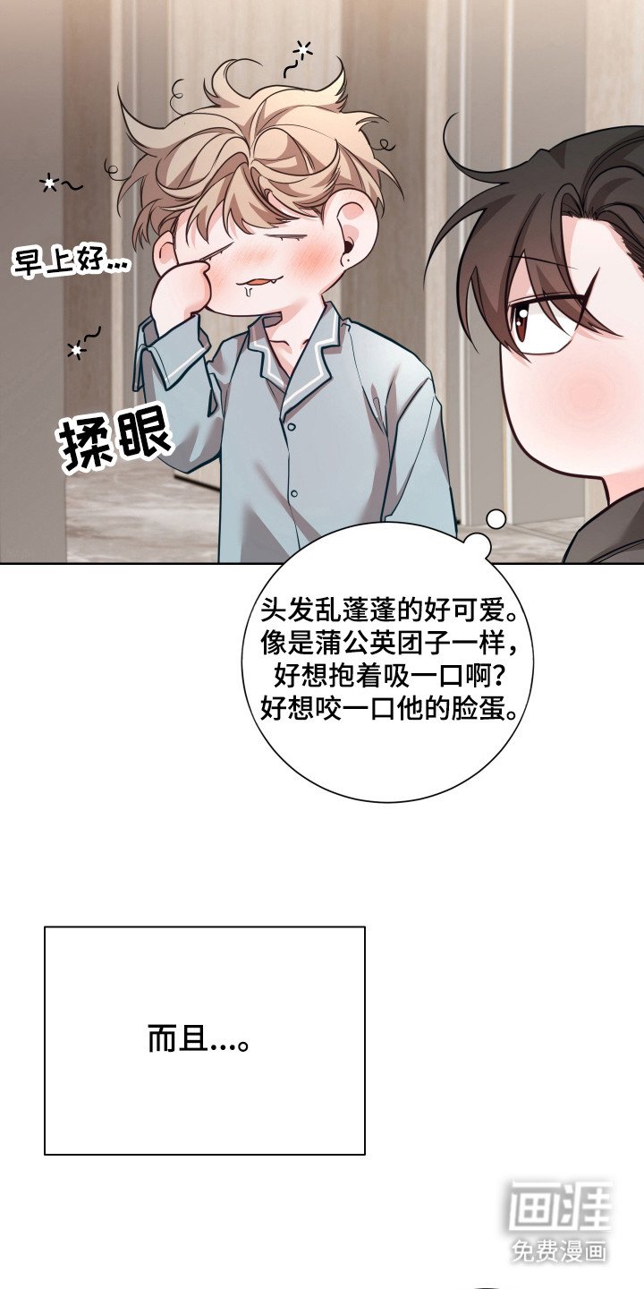 第19章：走上正轨