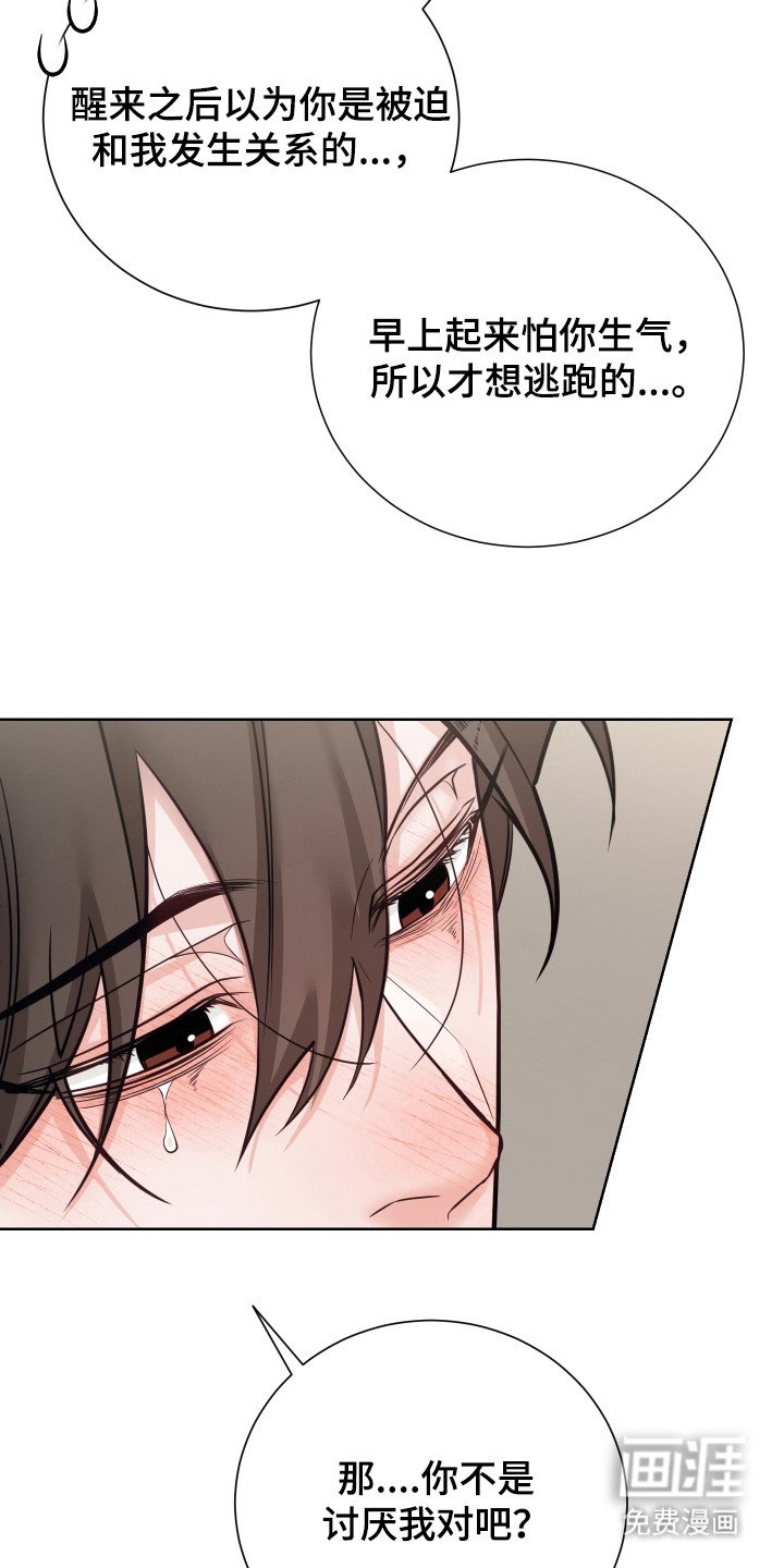 第23章：坦白