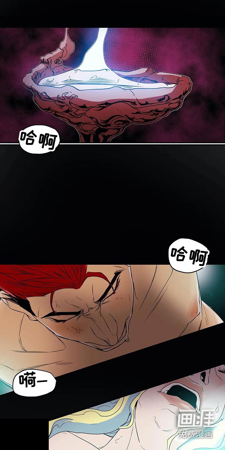 第49章：象征